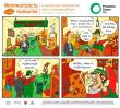 EkoKomiksy (komiks o predchádzaní vzniku odpadov, recyklácii, kompostovaní...)